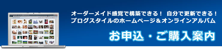 ���������ᥤ�ɴ��Фǹ��ۤǤ����ȼ��ɥᥤ��Υ��ꥸ�ʥ롦����饤�󡦥ե��ȥ���Х�ܥ֥����Ρ�e�ե��ȥ饤�աפ���������
